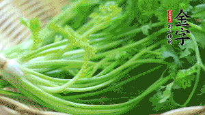 挑選鮮嫩的香菜，洗干凈后，處理成小段。